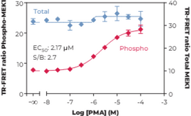 MEK1 (Total) TR-FRET Assay Kit