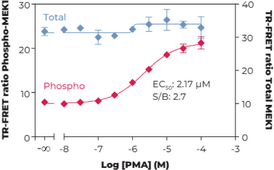 MEK1 (Total) and MEK1 (Phospho-Ser<sup>218/222</sup>) TR-FRET Assay Kit