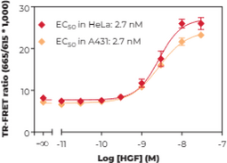 c-Met (Phospho-Tyr<sup>1234/1235</sup>) TR-FRET Assay Kit