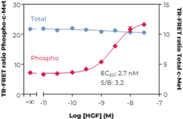 c-Met (Total) TR-FRET Assay Kit