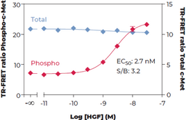 c-Met (Total) and c-Met (Phospho-Tyr<sup>1234/1235</sup>) TR-FRET Assay Kit