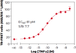 NF-?B (Phospho-Ser<sup>536</sup>) TR-FRET Assay Kit