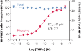 NF-?B (Total) TR-FRET Assay Kit