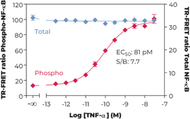 NF-?B (Total) and NF-?B (Phospho-Ser<sup>536</sup>) TR-FRET Assay Kit