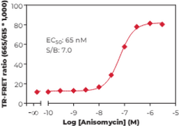 p38??? MAPK (Phospho-Thr<sup>180</sup>/Tyr<sup>182</sup>) TR-FRET Assay Kit