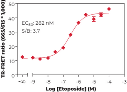 p53 (Phospho-Ser<sup>15</sup>) TR-FRET Assay Kit