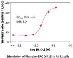 Src (Phospho-Tyr<sup>419</sup>) TR-FRET Assay Kit