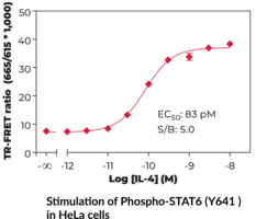 STAT6 (Phospho-Tyr<sup>641</sup>) TR-FRET Assay Kit