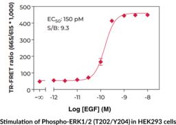 ERK1/2 (Extreme Phospho-Thr<sup>202</sup>/Tyr<sup>204</sup>) TR-FRET Assay Kit