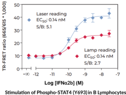 STAT4 (Phospho-Tyr<sup>693</sup>) TR-FRET Assay Kit