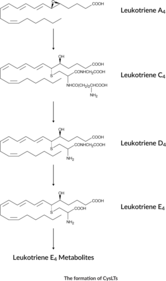 Leukotriene C<sub>4</sub> ELISA Kit