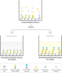 SARS-CoV-2 Neutralizing Antibody Detection ELISA Kit