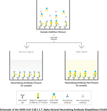 SARS-CoV-2 (B.1.1.7, Alpha Variant) Neutralizing Antibody SimpleDetect ELISA Kit