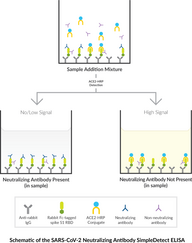 SARS-CoV-2 Neutralizing Antibody SimpleDetect ELISA Kit