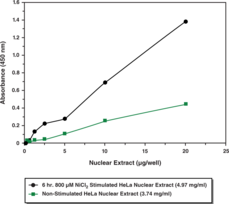 p53 Transcription Factor Assay Kit