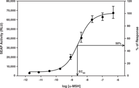 Melanocortin-<wbr/>3 Receptor Reporter Assay Kit