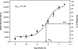 Orexin 1 Receptor Reporter Assay Kit