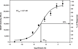 Orexin 2 Receptor Reporter Assay Kit