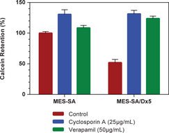 Multidrug Resistance Assay Kit (Calcein AM)