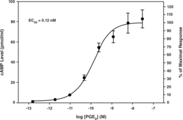 EP<sub>4</sub> Receptor (rat) Activation Assay Kit (cAMP)