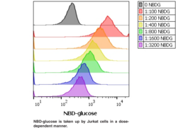 Glucose Uptake Cell-<wbr/>Based Assay Kit