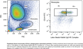 Phagocytosis Assay Kit (IgG PE)