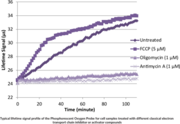 Oxygen Consumption Rate Assay Kit