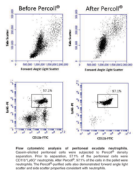 Neutrophil (mouse) Isolation Kit