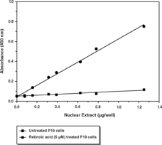 Oct4 Transcription Factor Assay Kit