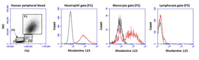 Neutrophil/<wbr/>Monocyte Respiratory Burst Assay Kit