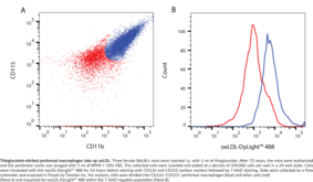 Oxidized LDL Uptake Assay Kit