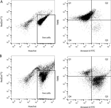 Multi-Parameter Apoptosis Assay Kit