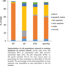 Early Apoptosis Detection Assay Kit