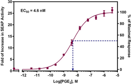 EP<sub>2</sub> Receptor (human) Reporter Assay Kit