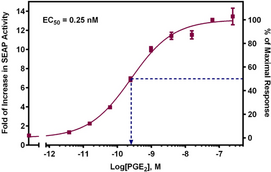 EP<sub>4</sub> Receptor (human) Reporter Assay Kit