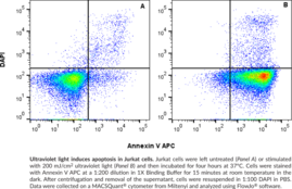 Annexin V APC Assay Kit