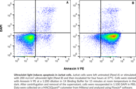 Annexin V PE Assay Kit