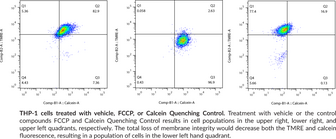 Mitochondrial PT Pore Assay Kit