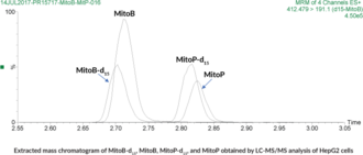 Hydrogen Peroxide Ratiometric MaxSpec<sup>®</sup> Kit