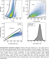 LDL Uptake Flow Cytometry Assay Kit