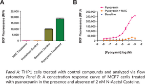 ROS Detection Cell-Based Assay Kit (DCFDA)