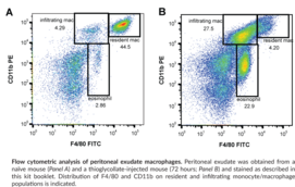 Macrophage (mouse) Elicitation Kit