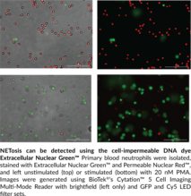 NETosis Imaging Assay Kit