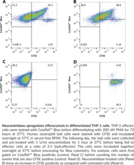 Efferocytosis Assay Kit