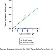 STAT3 Transcription Factor Assay Kit