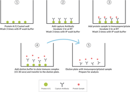 Protein A/G Coated Plate Immunoprecipitation Kit