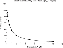 HDAC8 Inhibitor Screening Assay Kit