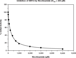 SIRT2 Direct Fluorescent Screening Assay Kit