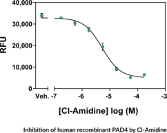 PAD4 Inhibitor Screening Assay Kit (Ammonia)