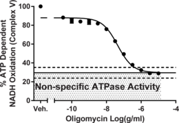 MitoCheck<sup>®</sup> Complex V Activity Assay Kit